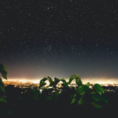 pexels-kobeboy-1676073